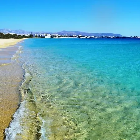 Naxos Premium *