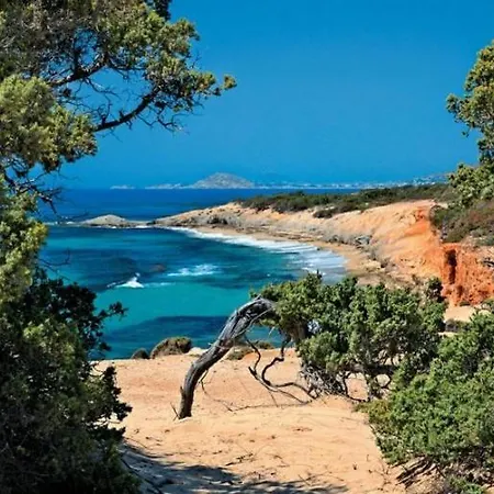 Naxos Premium *